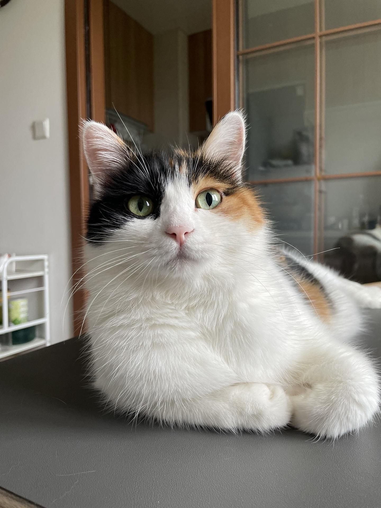 无美颜滤镜美女。