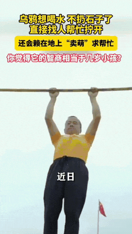 乌鸦成精了？
以前乌鸦喝水，往瓶子里放石头，但这只乌鸦口渴了，看到地上有瓶水，可
