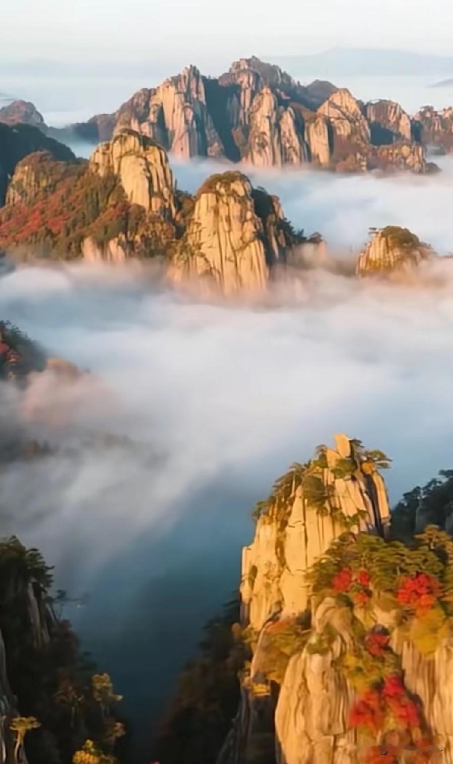 我用自己的亲身经历来戳破“癌症就是绝症”这一谎言！
      不知道为什么，在