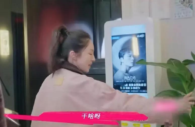 董璇和老公张维伊在节目上吵起来了，事情起因疑似是，买东西时，张维伊要去付款，董璇