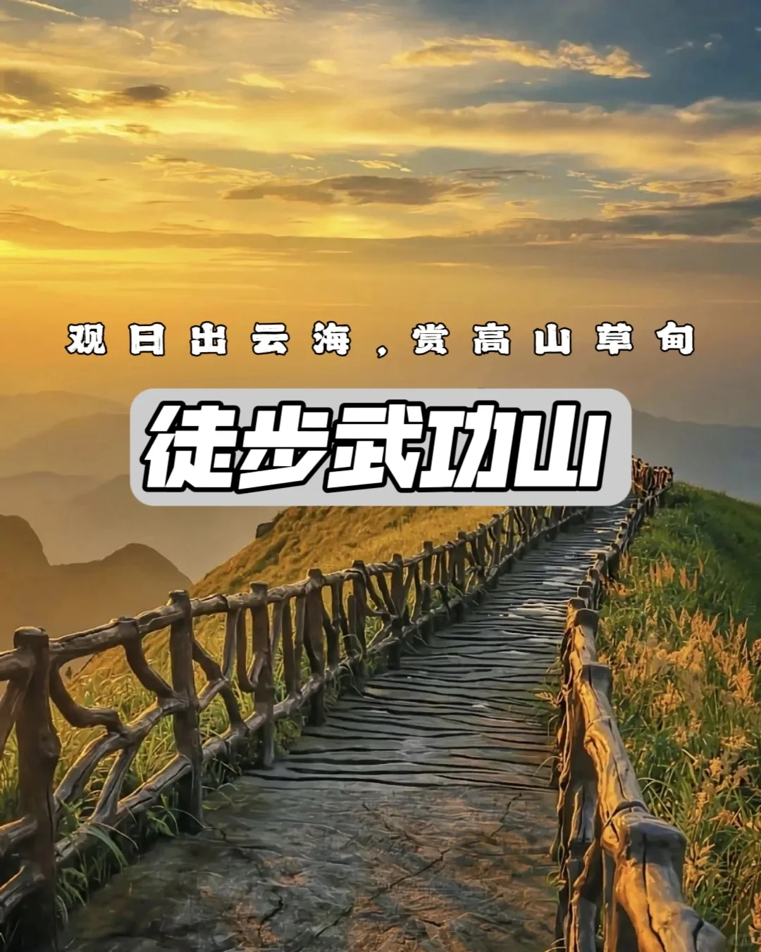 徒步武功山，看最美高山草甸