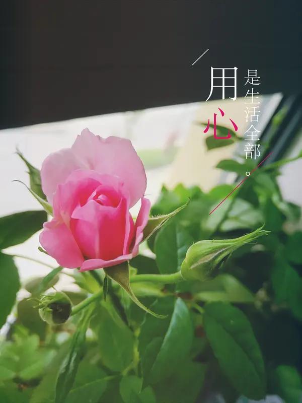 为什么分开这么久，我还是对你念念不忘？
 
有人问我，都分开这么久了，为什么还迟