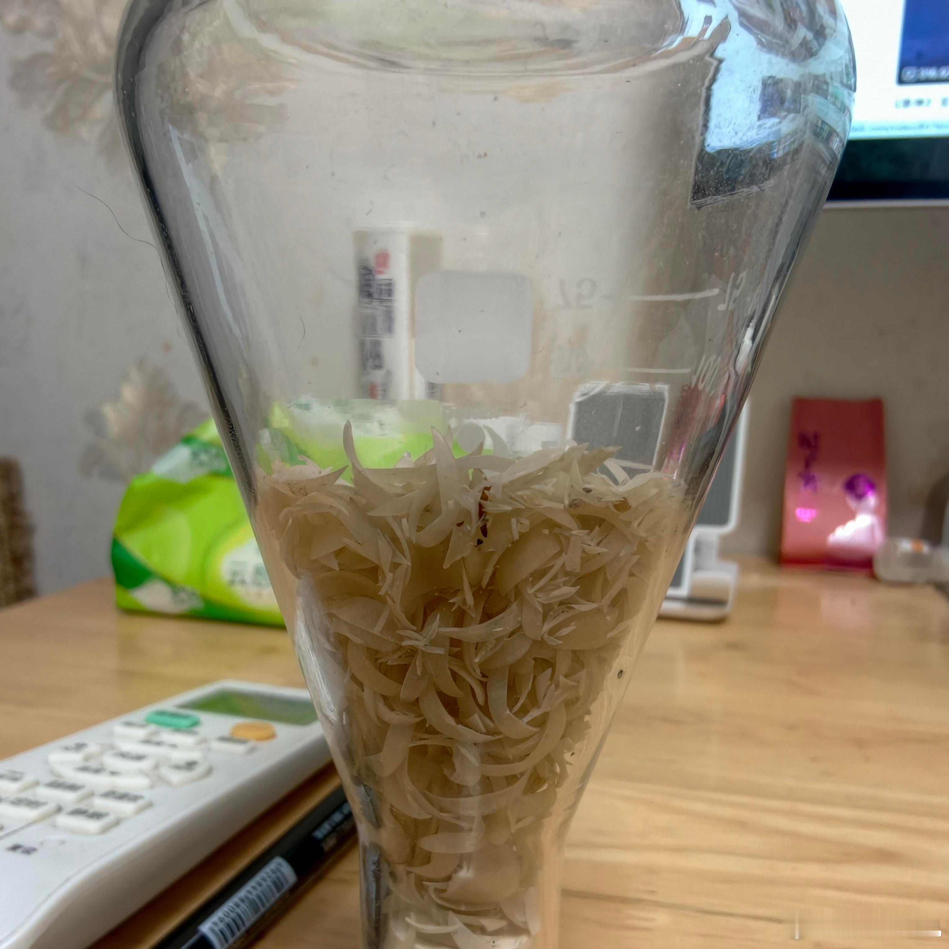 人到中年爱好开始逐渐离谱了看到几个有意思的，1、收集指甲2、收集各种影视资源3、