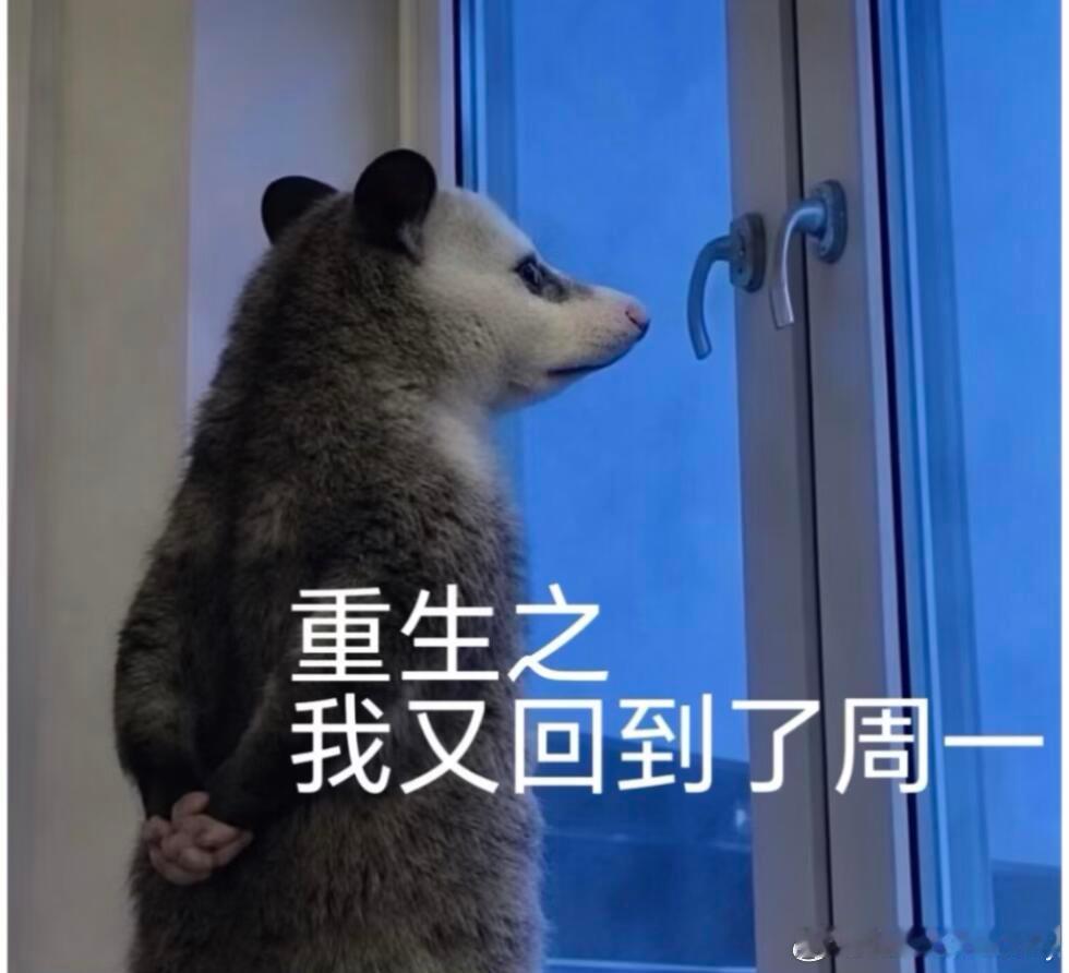 周一的精神状态belike ​​​