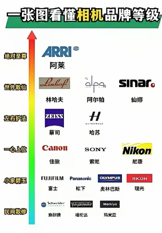 荣耀阿莱的地位这么顶的吗？