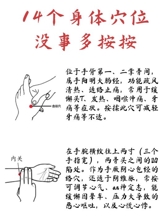 按对穴位，养苼不累！14个必知穴位