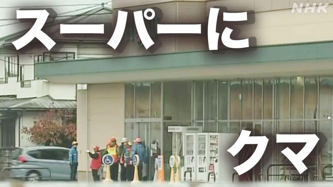 真·熊出没！一头黑熊闯进日本超市待了2天，扫货、抢肉、咬店员...

11月30