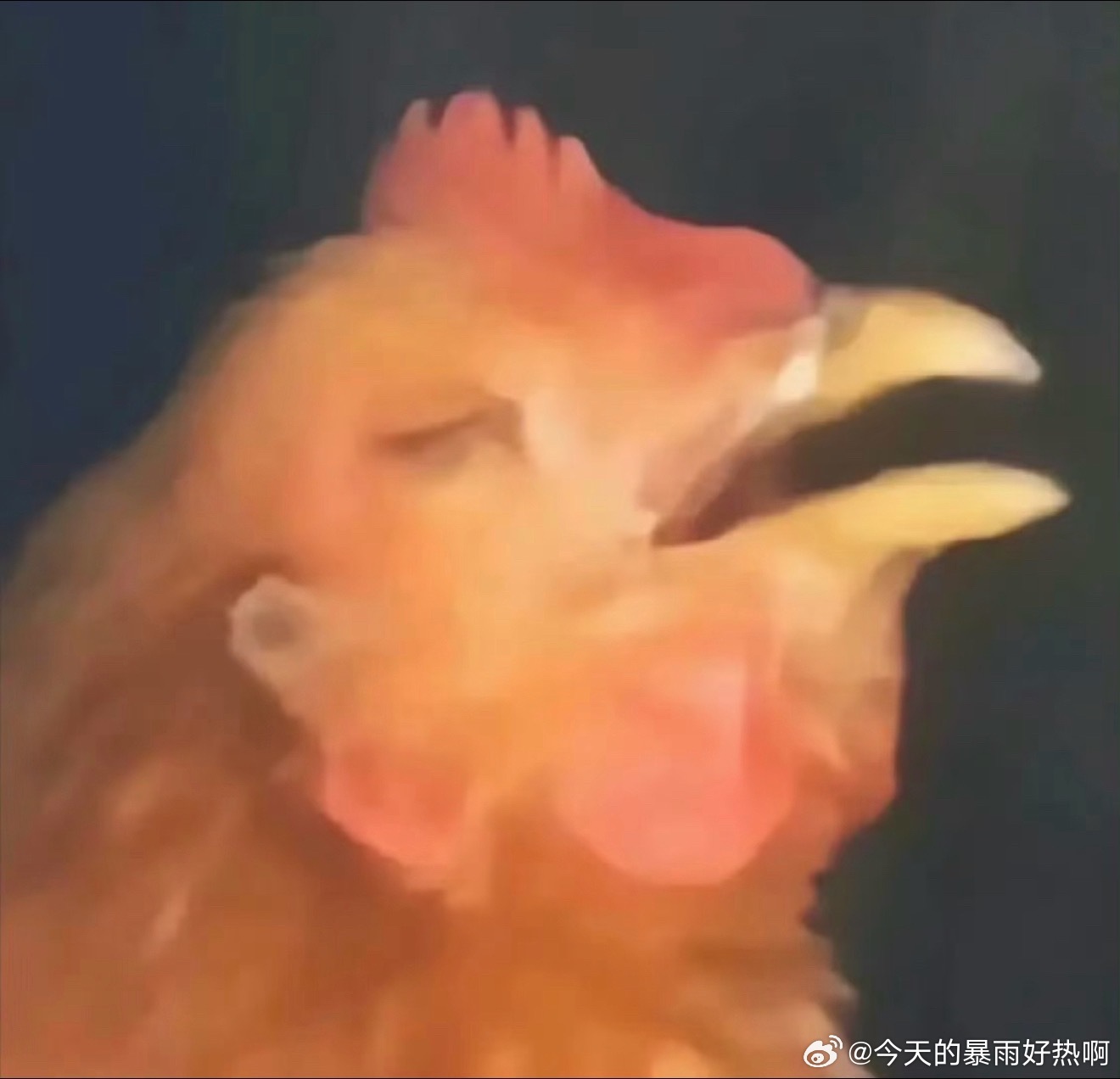 眼瞅着检察官把这个xp恶劣又广泛殷商奇高的能人异士姐妹们聚集在一起大家都如同解开