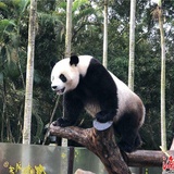 冯二侃侃综艺