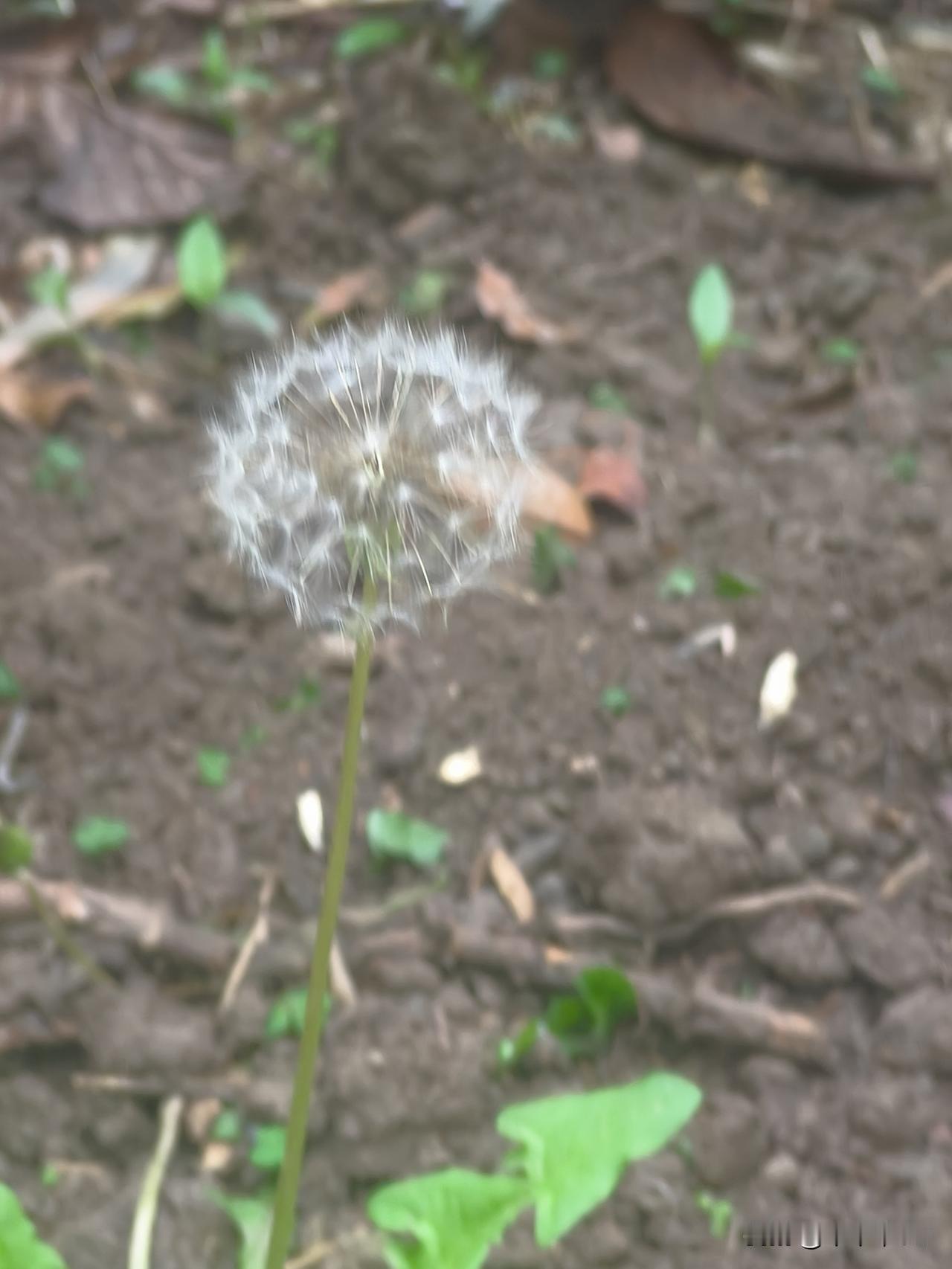 今天有事，明天也有事，大家自己看吧。就不一一回复了。
反正大盘无忧。