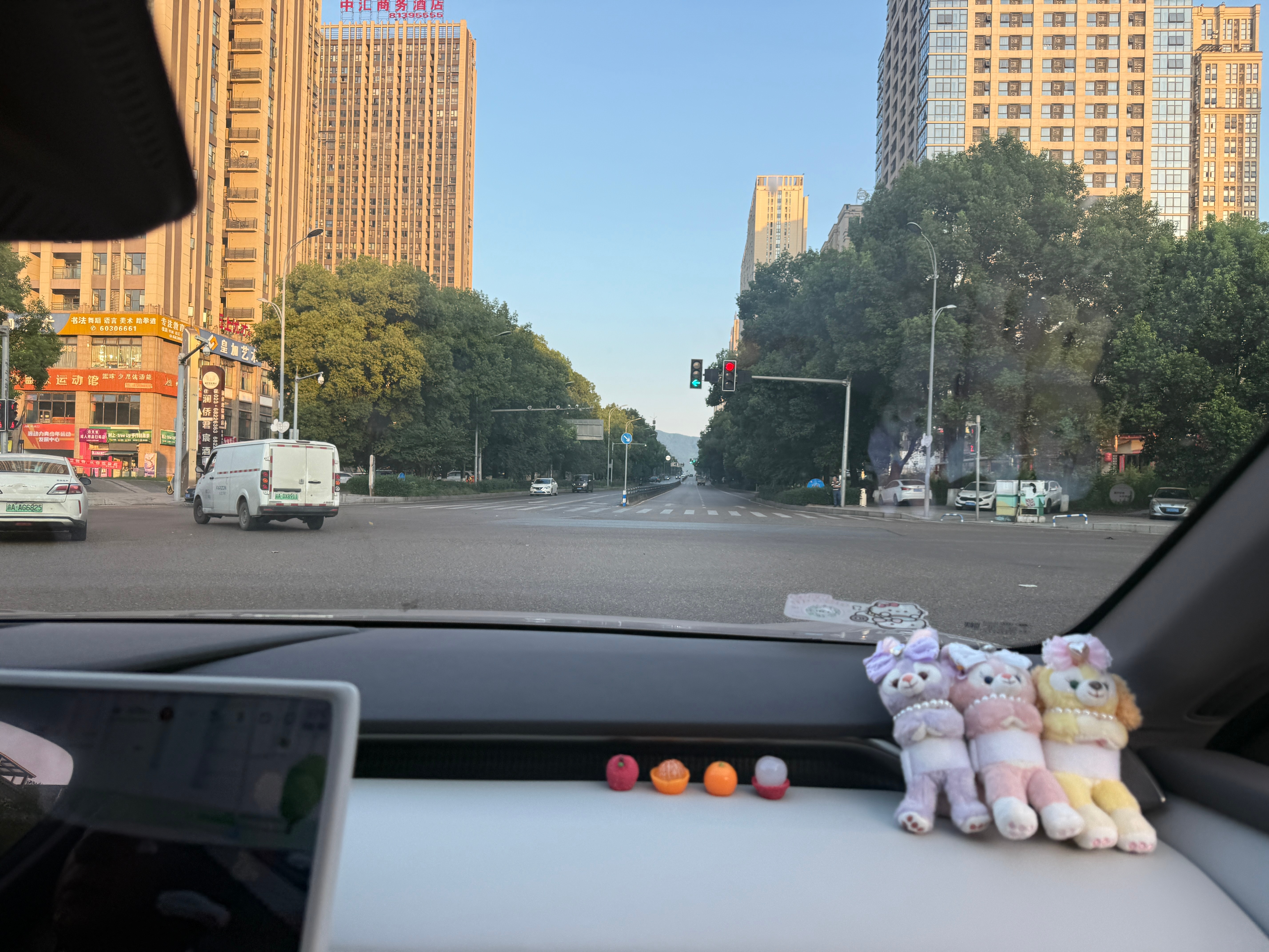 就这么萌萌地顶着个蝴蝶结出发了 