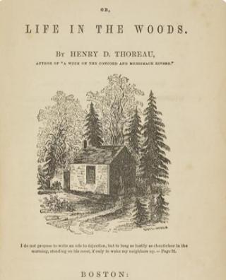 瓦尔登湖
在马萨诸塞州康科德镇的边缘，一片静谧的湖水映照着天空与林影——这便是瓦