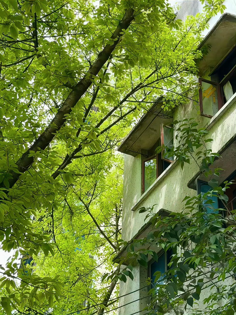 纳指建设底仓一般0.5层左右够了，后面每天0.25-0.3层定投，自己设置，这都