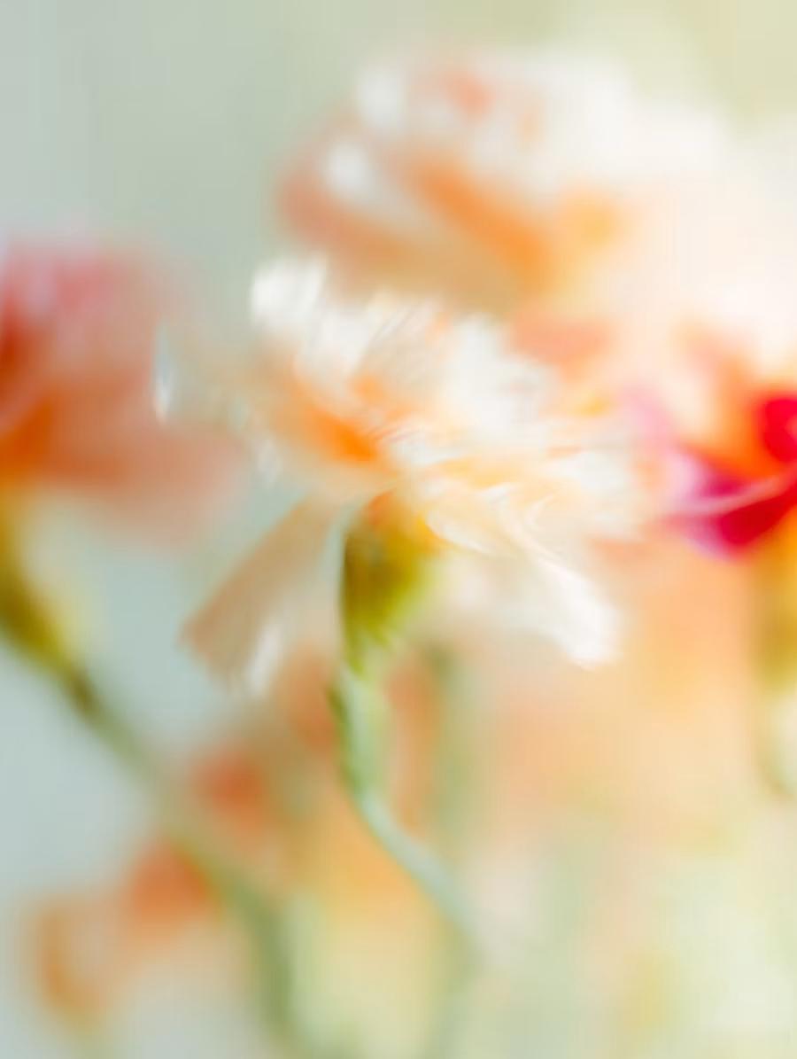 花非花 雾非雾 
