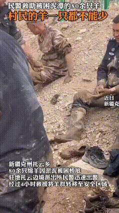 零下淤泥急援！边境民警苦战4小时，80余只绵羊全部获救
 近日，新疆克州托云乡突