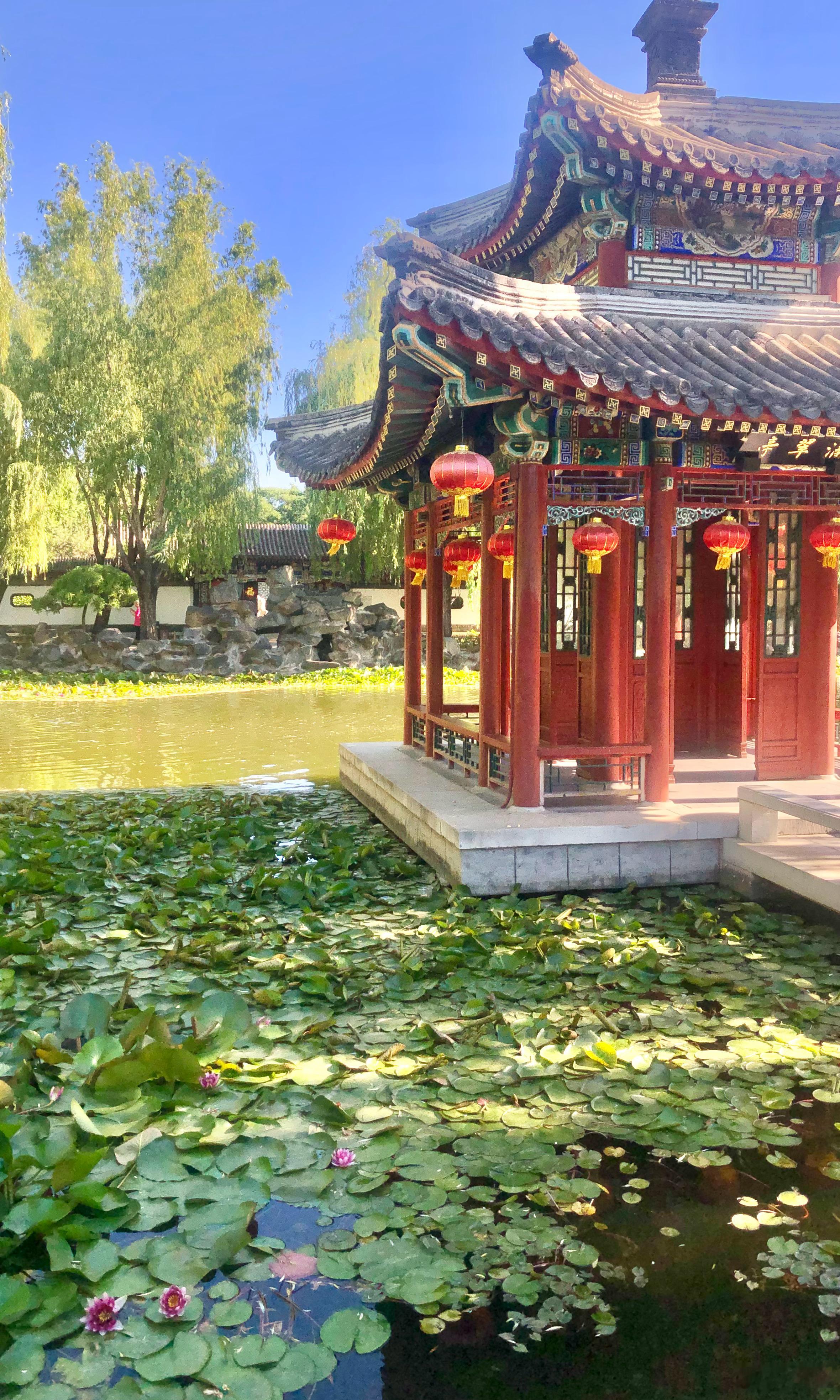【北京大观园】初夏腓草木，园绿胜春深。徘徊花下径，轻风开胸襟。摄影​​​
