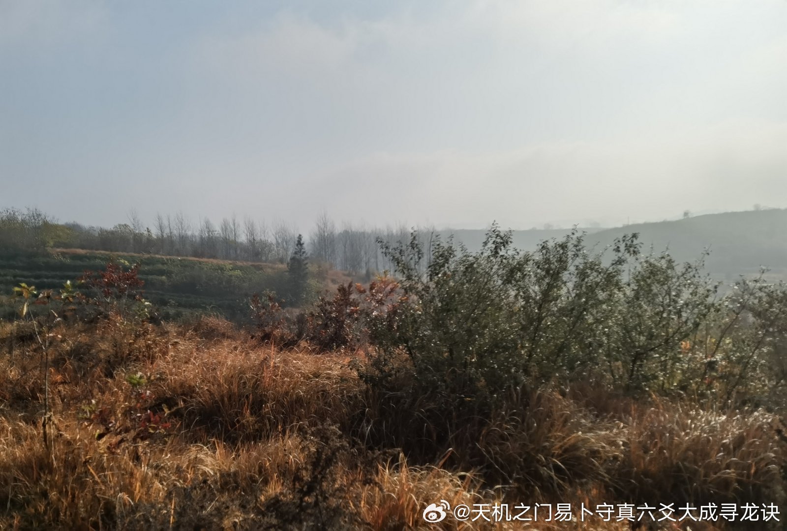 云南各地准备筹备婚嫁的新人，除了挑选结婚吉日，还希望勘测婚房风水、分析二人合婚命