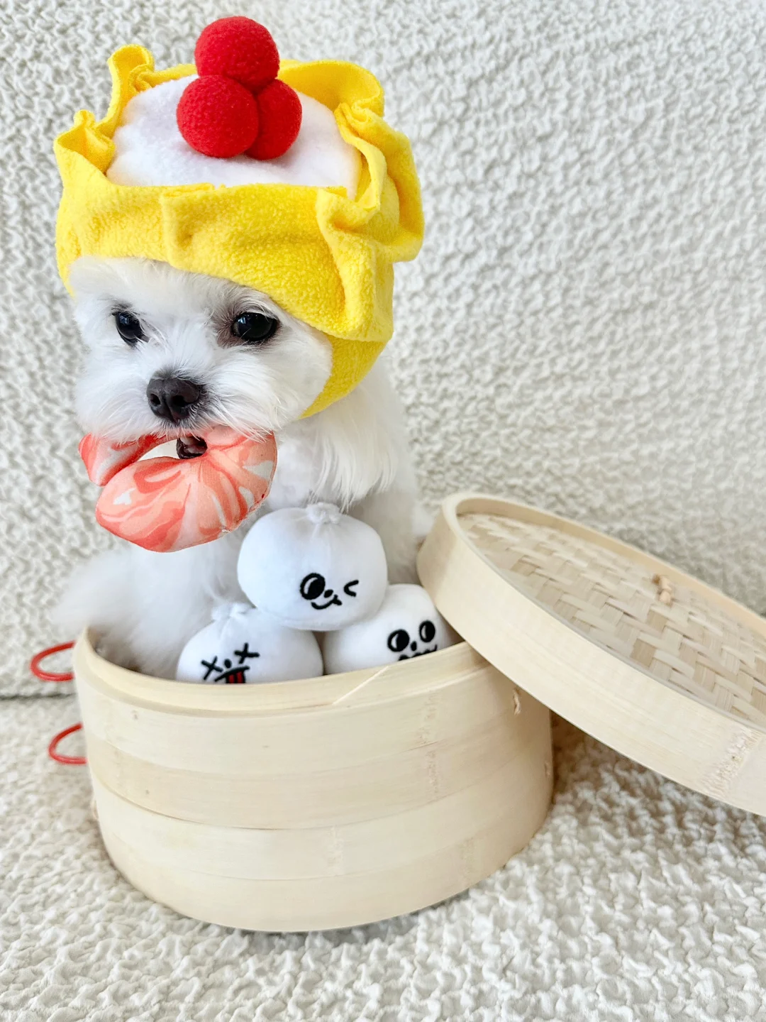 今日小富摆摊卖烧卖🍤ee能不能对我上点心