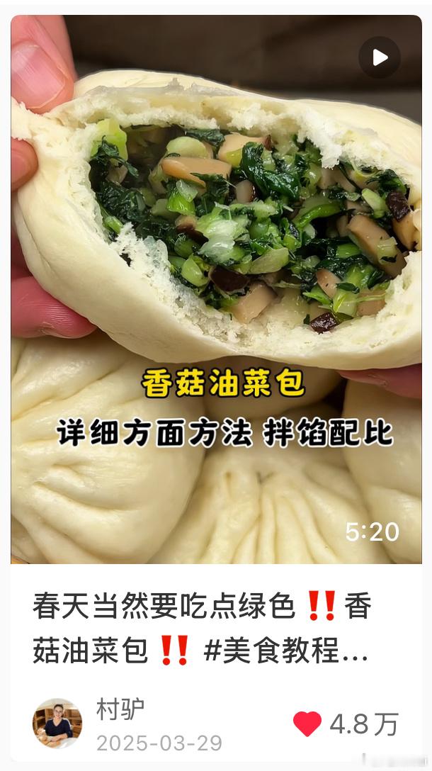 香菇青菜包！我准备抽空拿下 