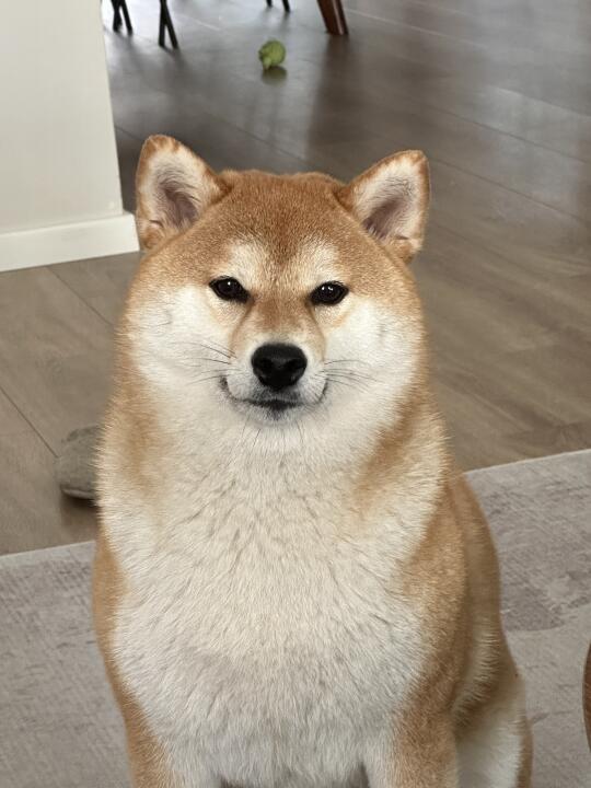 我脖子呢