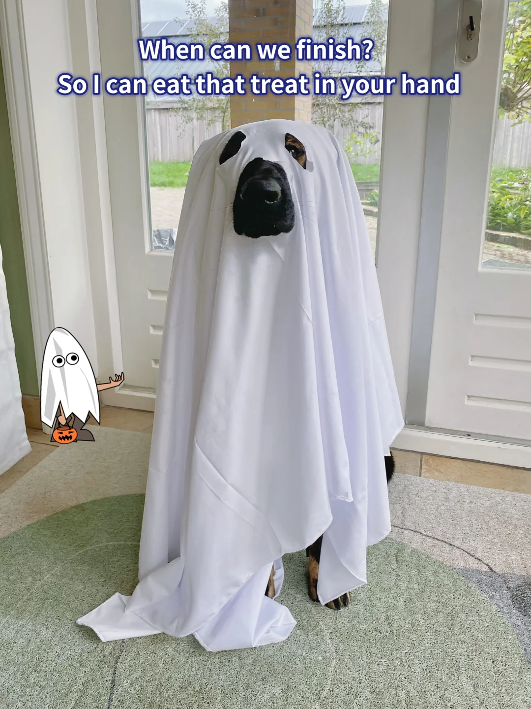 Boo! Trick or treat 👻