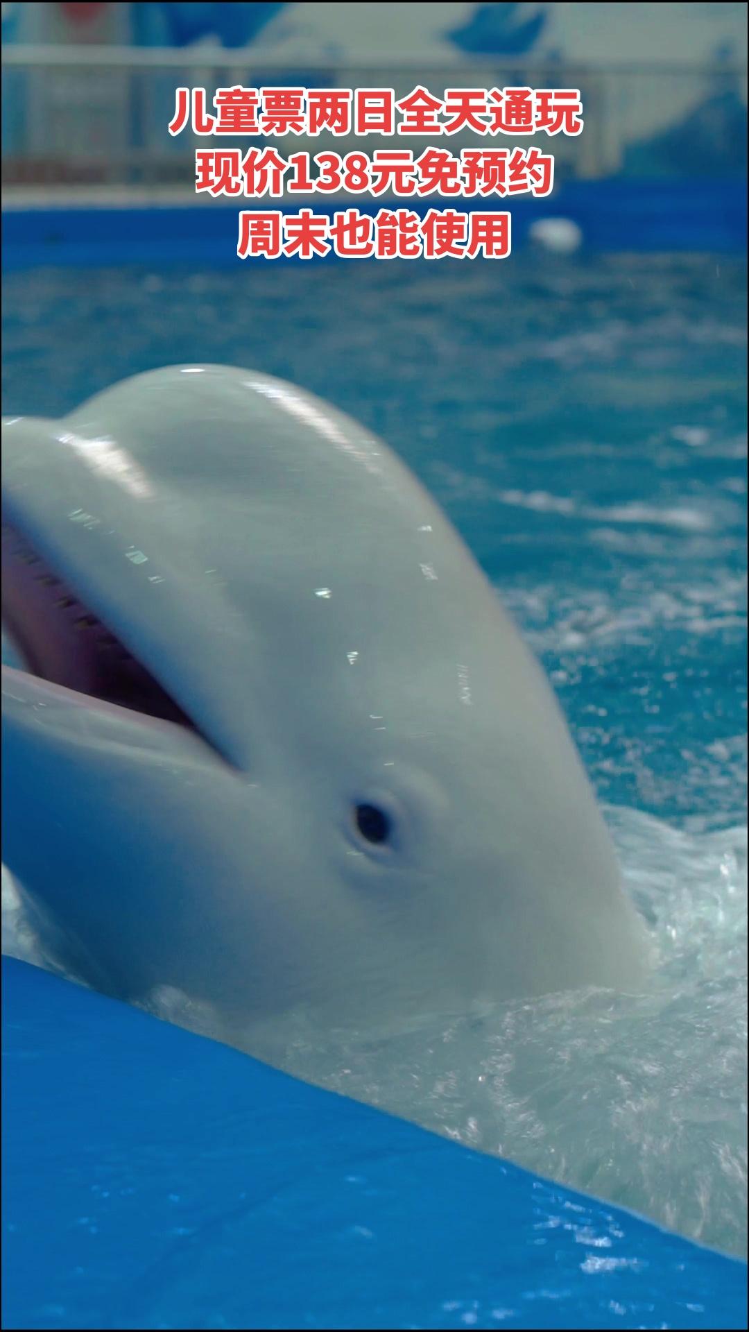 冰雪海洋世界，好货推荐，儿童票两日全天通玩，超值折扣，景区官方、随时退·过期退
