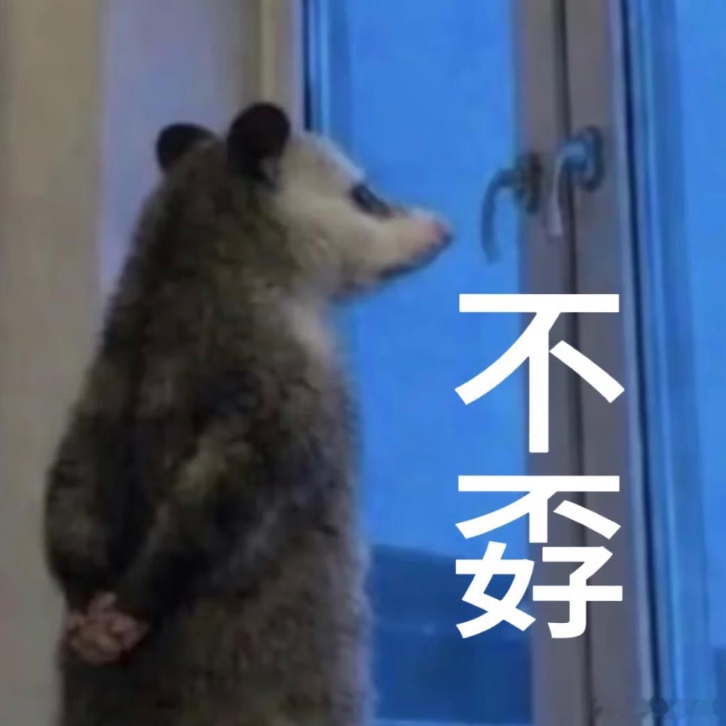 大家早上中午晚上好你好我好他她它也好我天天换头像装扮你们还能记住我不 
