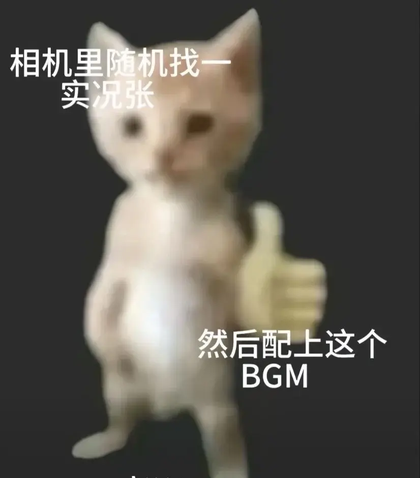 我看过你爱我的样子