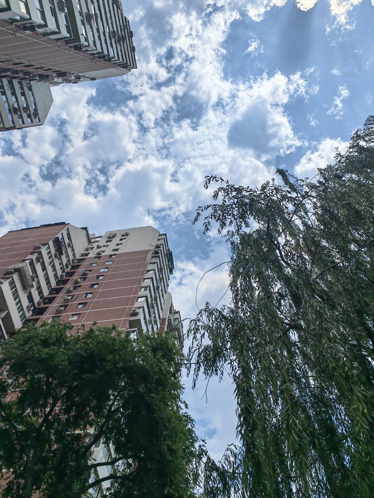 今天老公去提车了，我照常上班，老二去上学了，只剩下老大一个人在家。

老大小学毕