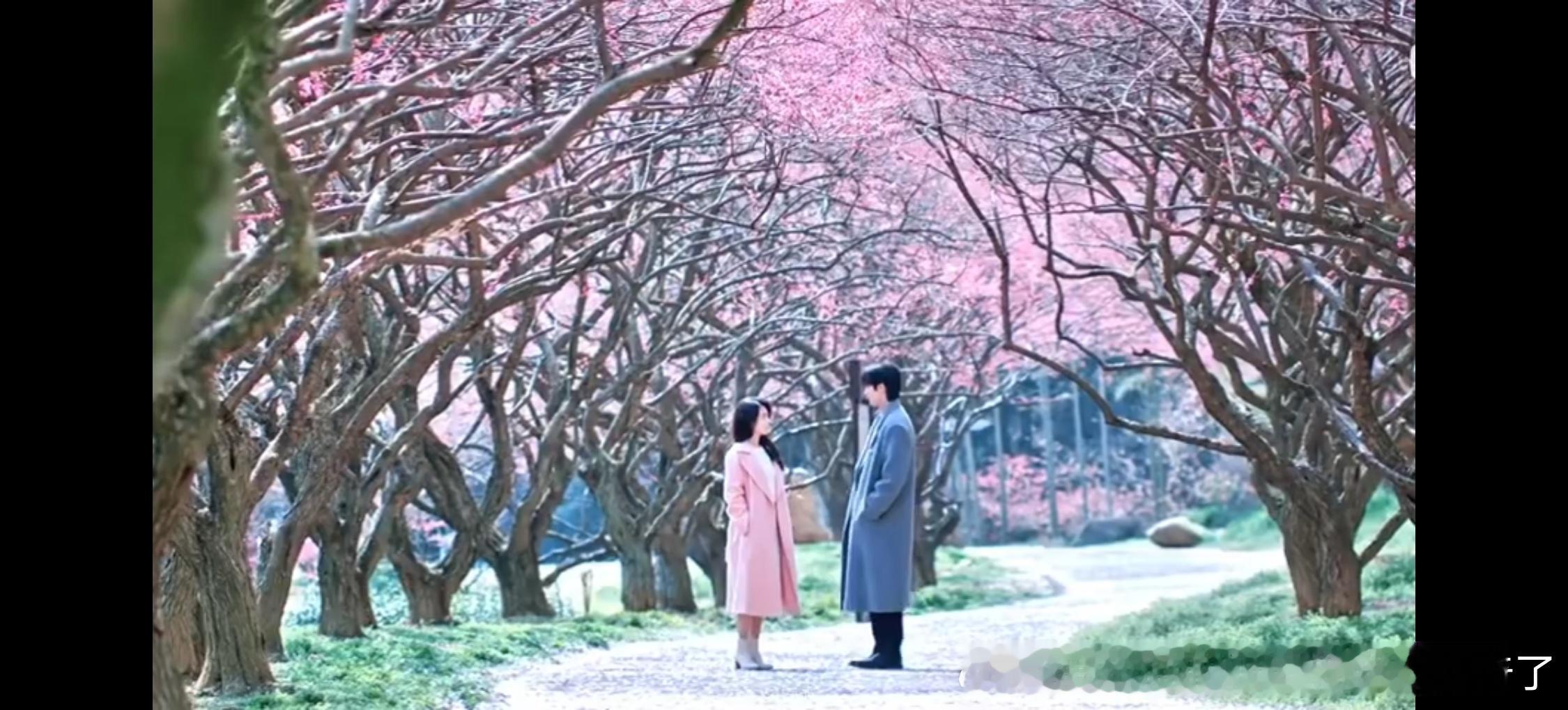 这个梅林这下真被光污染了