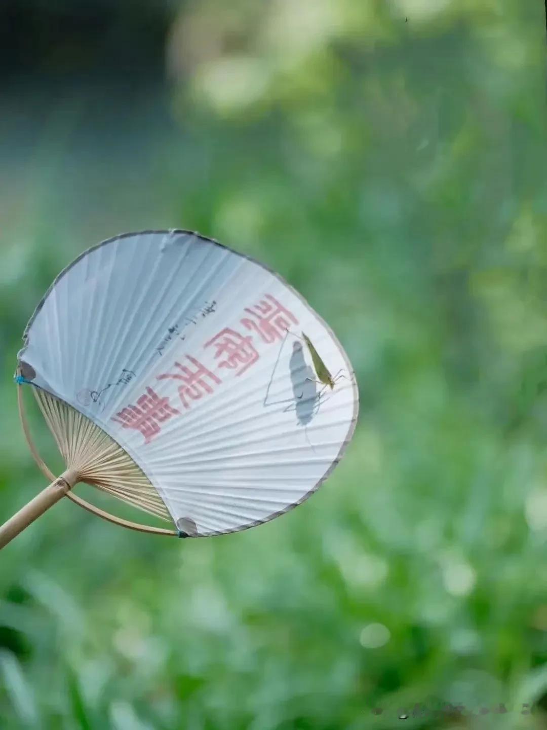 夏至夏安，岁月相伴，流年细数，皆是喜欢，夏至福至，幸福有你。

四时流转，逢炎夏