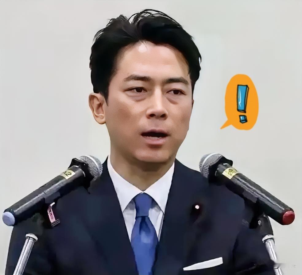 日本亲手，埋葬了自己。
偷鸡不成蚀把米，日本给自己挖了一个大坑！
 
日本外相茂