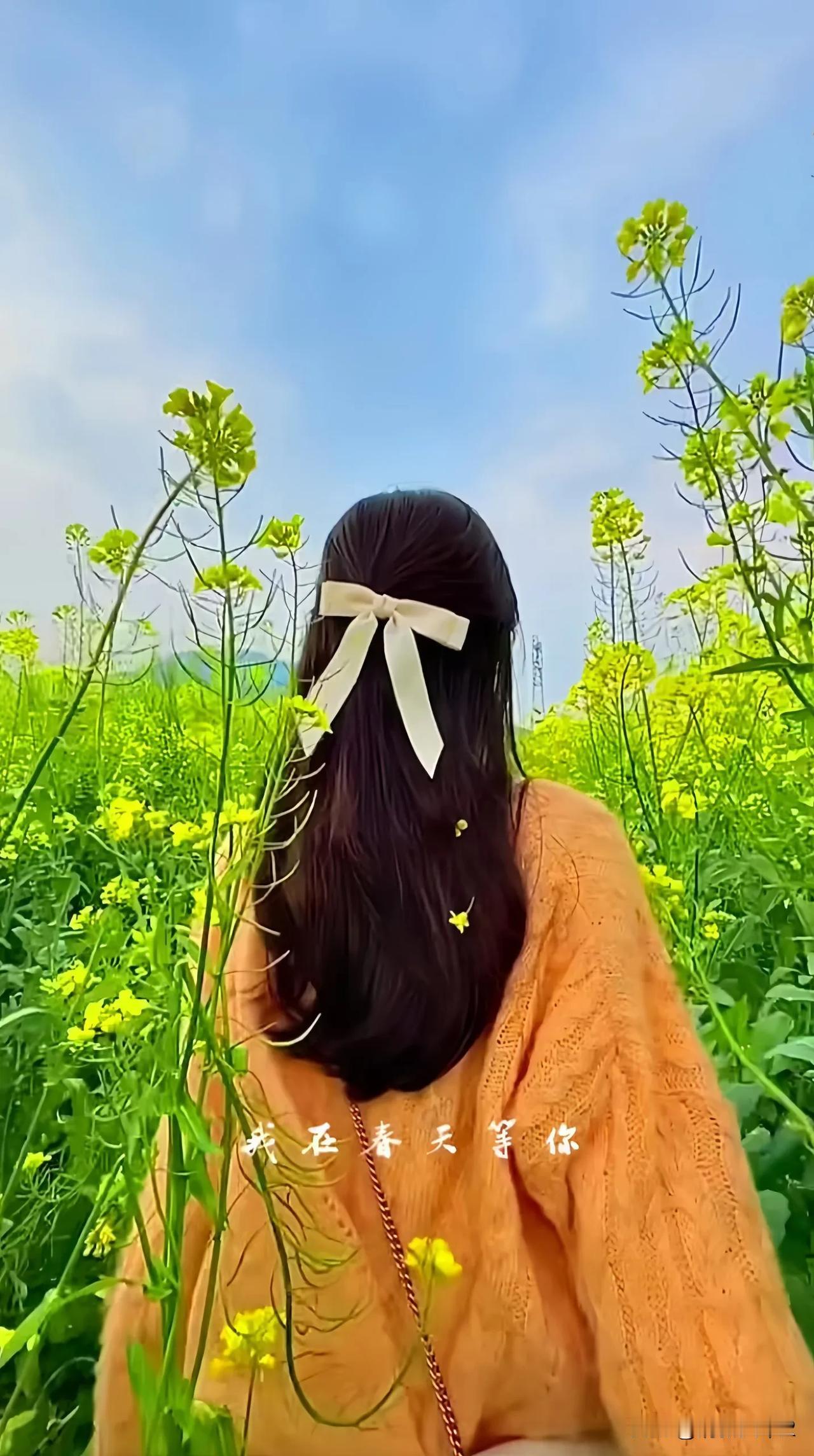 答应我

答应我，
不要让心软变成伤你的帮凶。

答应我，
要带点锋芒别过分善良