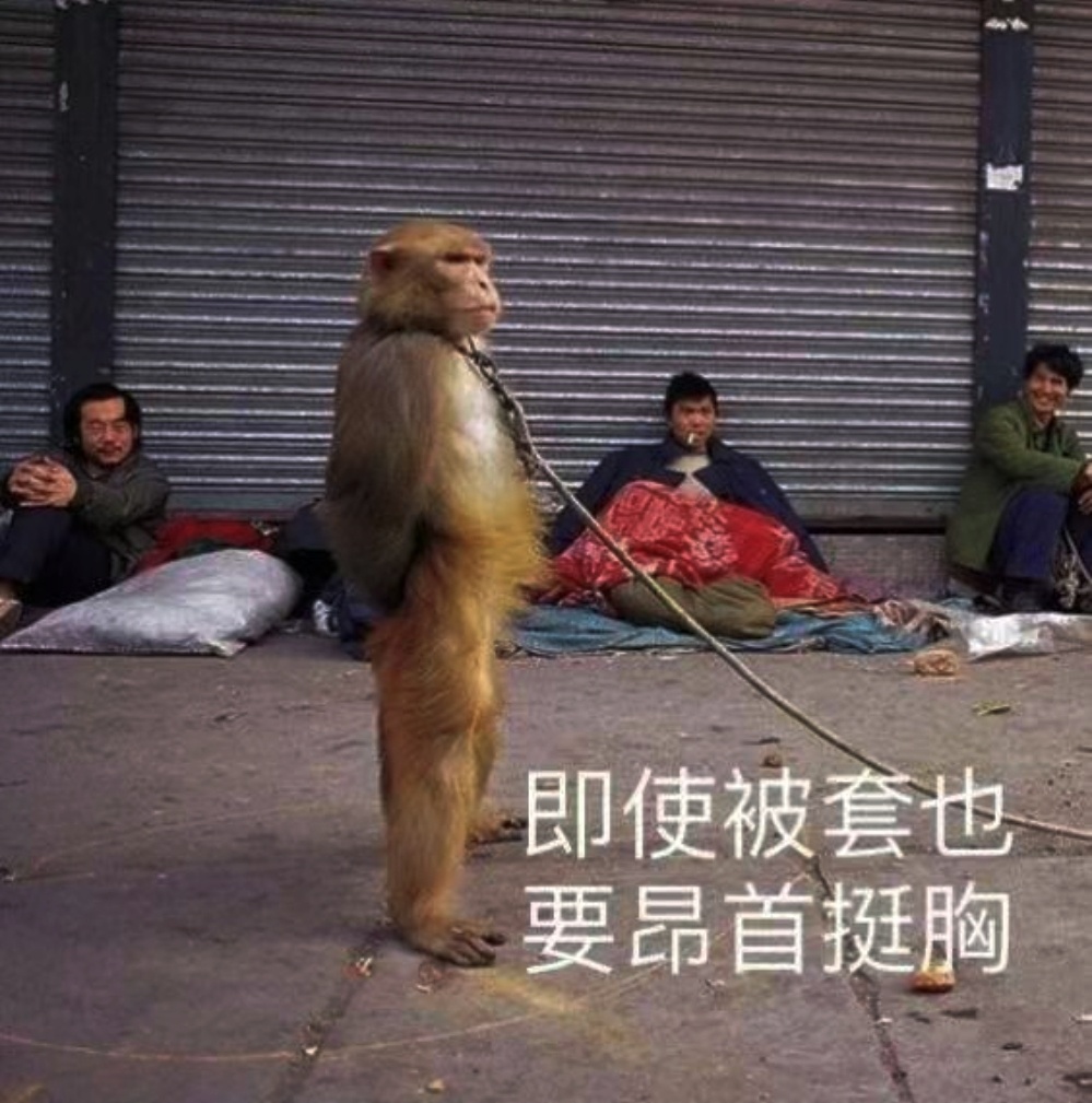 1天亏10万多1天赚5万股民说刺激 原来看见这帮子赌徒，我会说啥子太多。现在看到