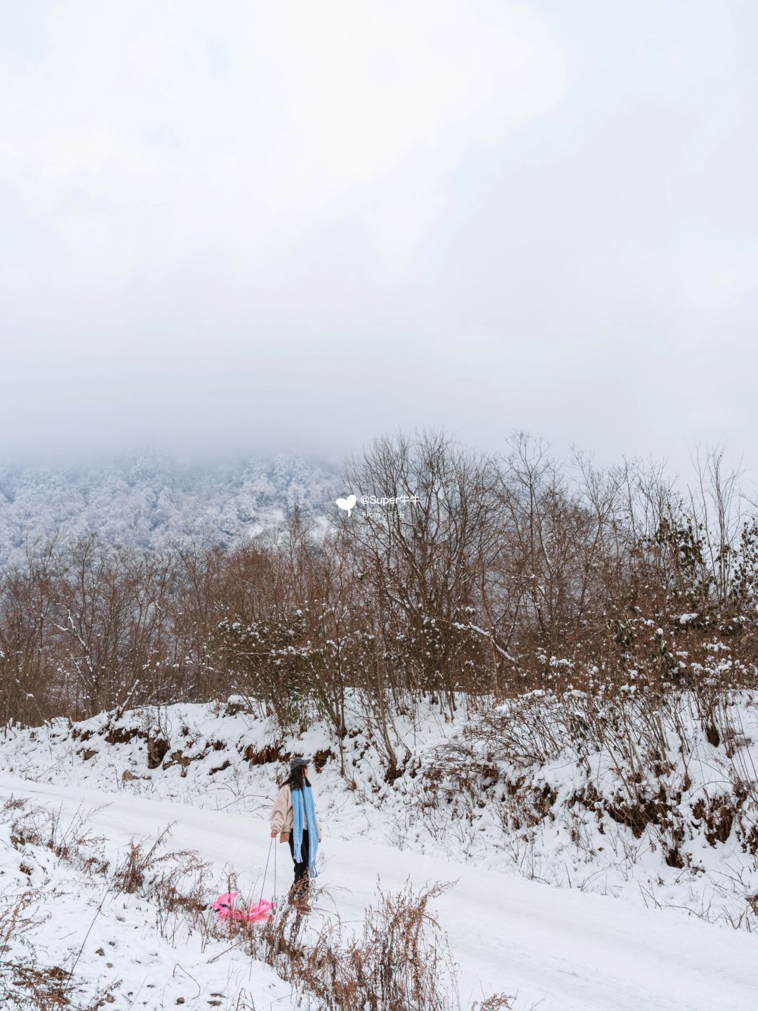 成都周边❄️冷门小众野生耍雪地🐿️快冲❗️