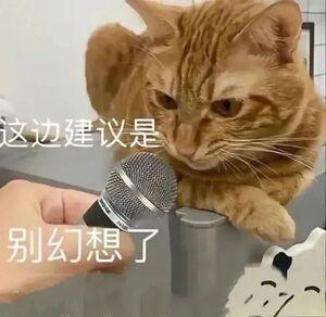 发货YES到手YSLLOGO上的字母变动，仿大牌的热度和字母文字谐指数以此作为提