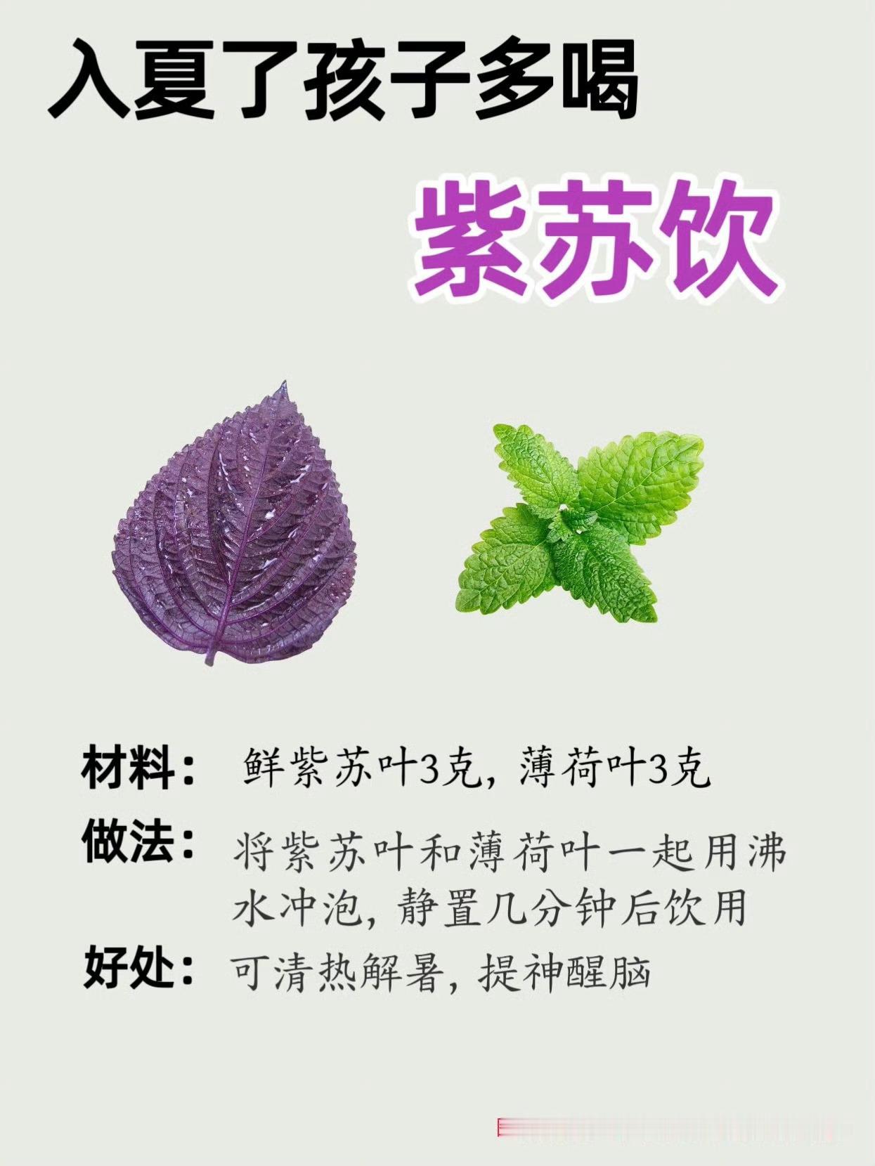 夏季必备8款紫苏饮品，小孩脾胃更健康！ 
