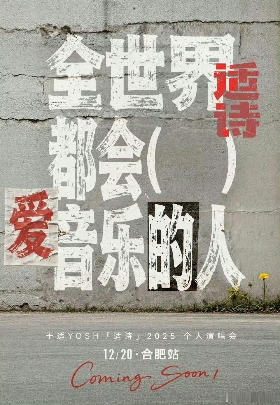 于适演唱会合肥站秒罄于适合肥演唱会于适「适诗」2025个人演唱会——合肥站预售售