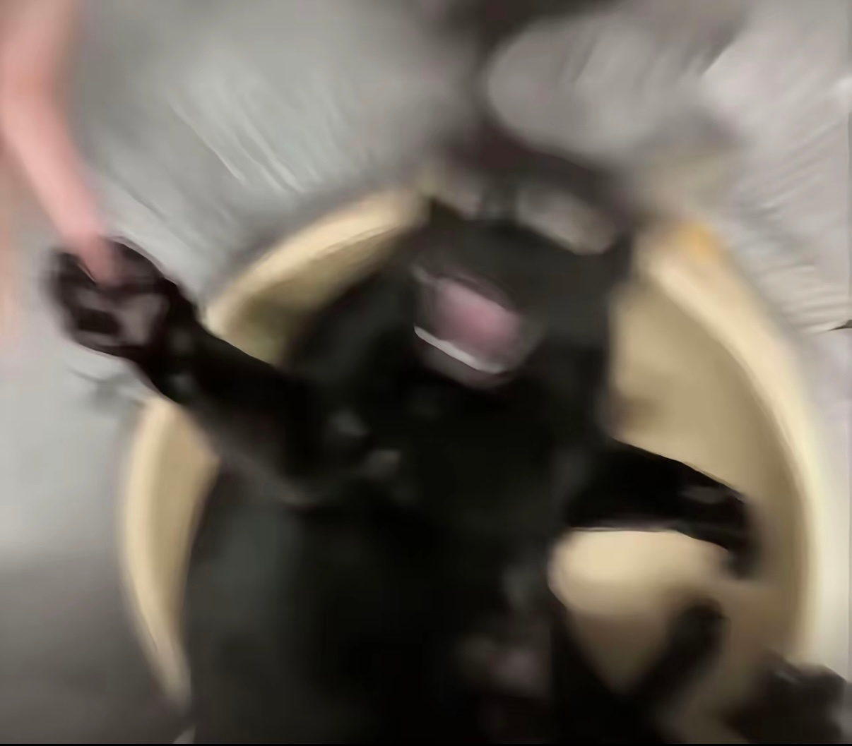 小猫脾气测试，第一关：抓住猫咪嘴巴，坚持五秒不反抗就是好猫， 第二关：摸猫咪胡须