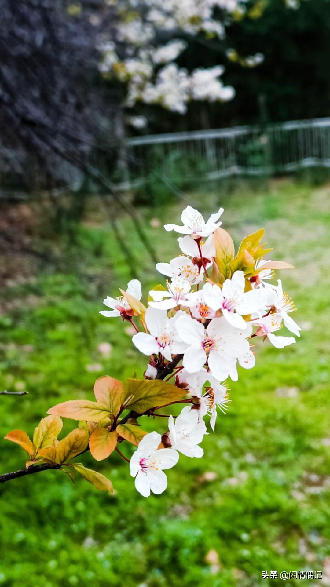 女孩子40岁了还不结婚正常吗？
说实话，我觉得这事儿太正常了。现在都什么年代了，