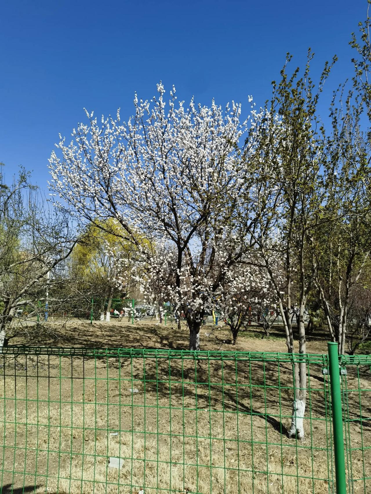 每年都要先看它～～