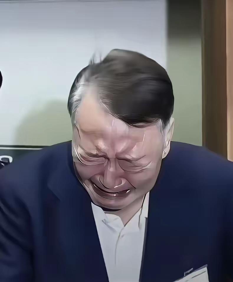 韩前总统尹锡悦，庭审痛哭很难过。
决策失误路走错，承担责任必然的。
网友评论: