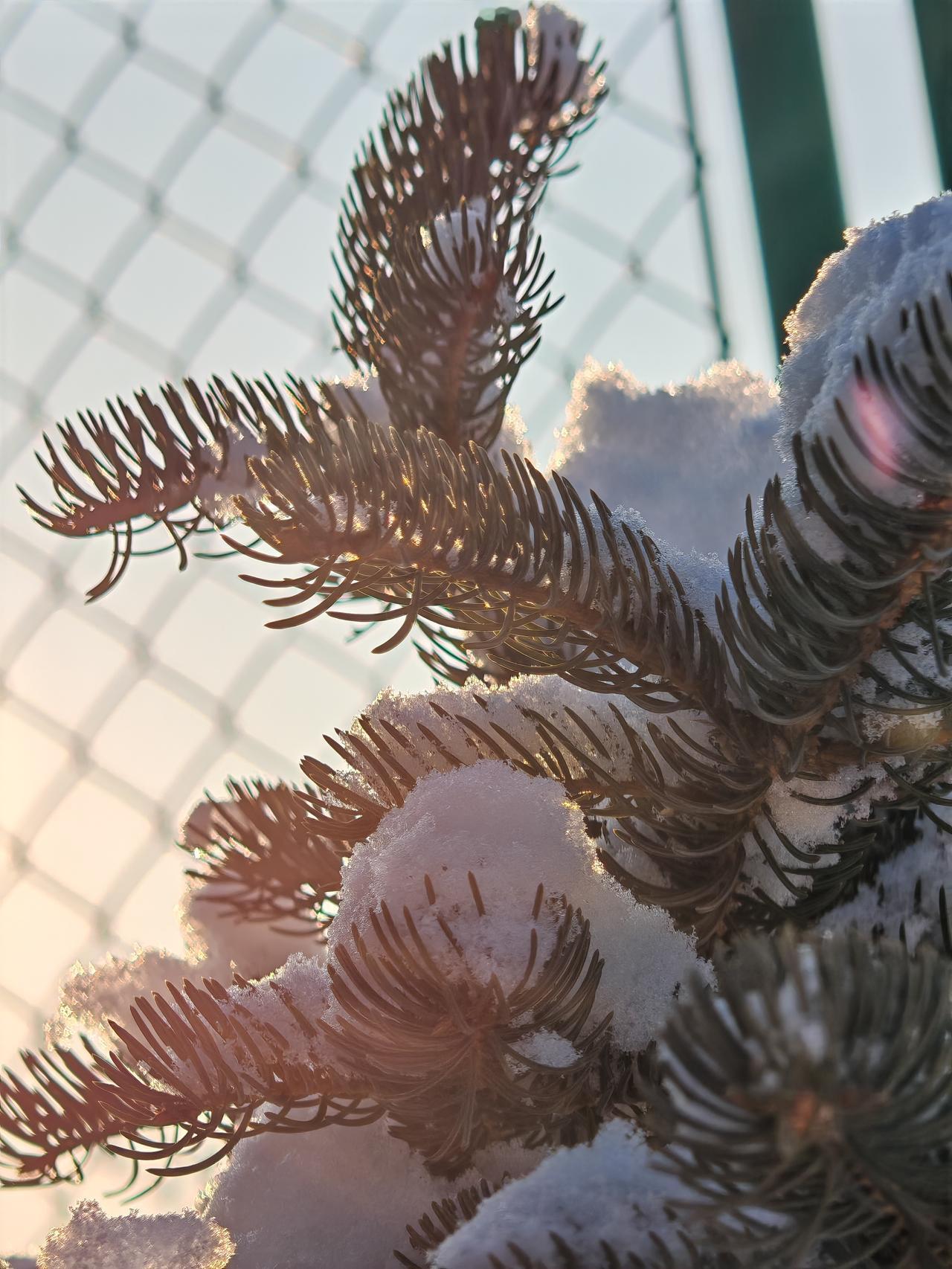 与痛风斗争的历程116
 
  早上起床，浑身各关节还算舒坦，唯独左手踝关节隐隐