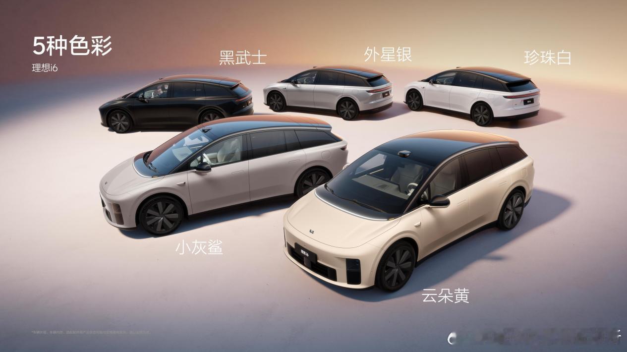 今年呼声最高的五座纯电SUV之一，理想i6上市，24.98万起。5种车身颜色：黑