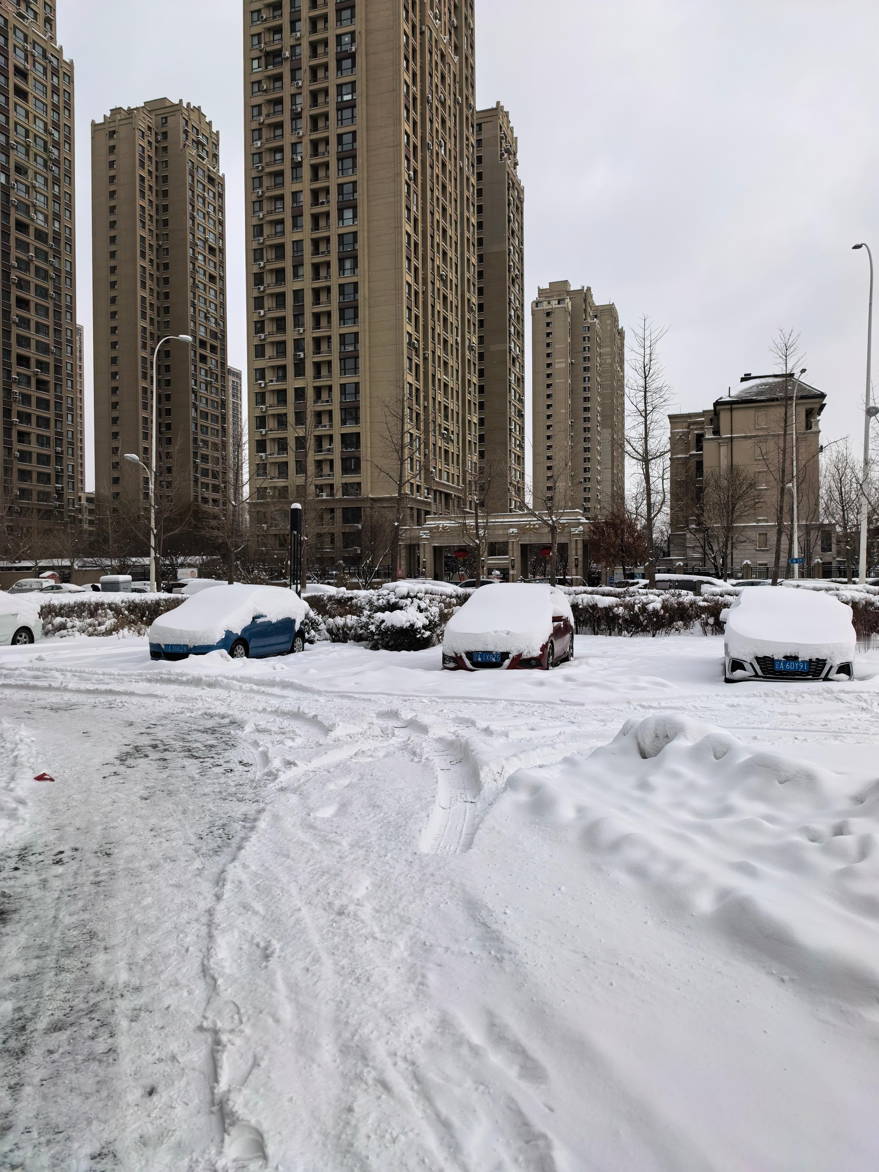 沈阳暴雪，今年一冬天都没怎么下雪，过年一次性把一年的雪都下完了，大家感受下雪的厚