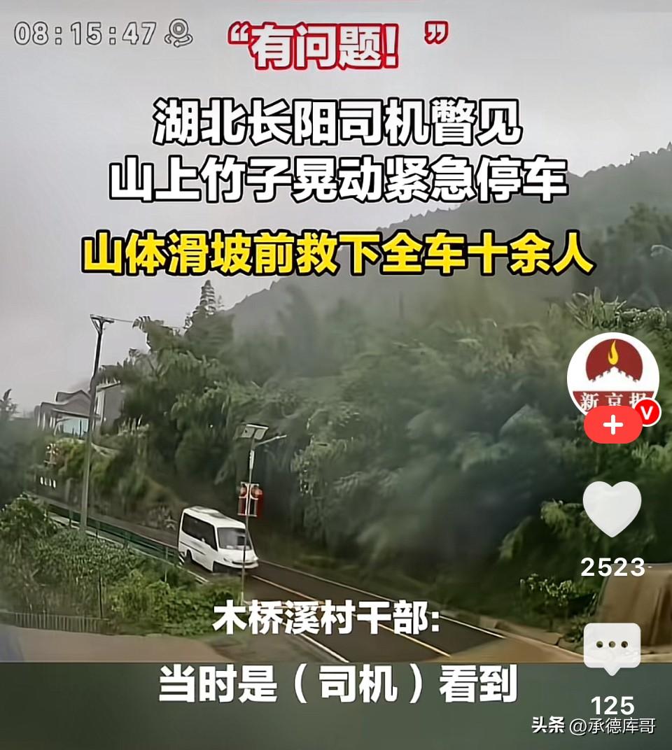 司机师傅太牛了！湖北长阳，一小巴司机行车途中瞥见山上竹子晃动，判断险情后紧急停车