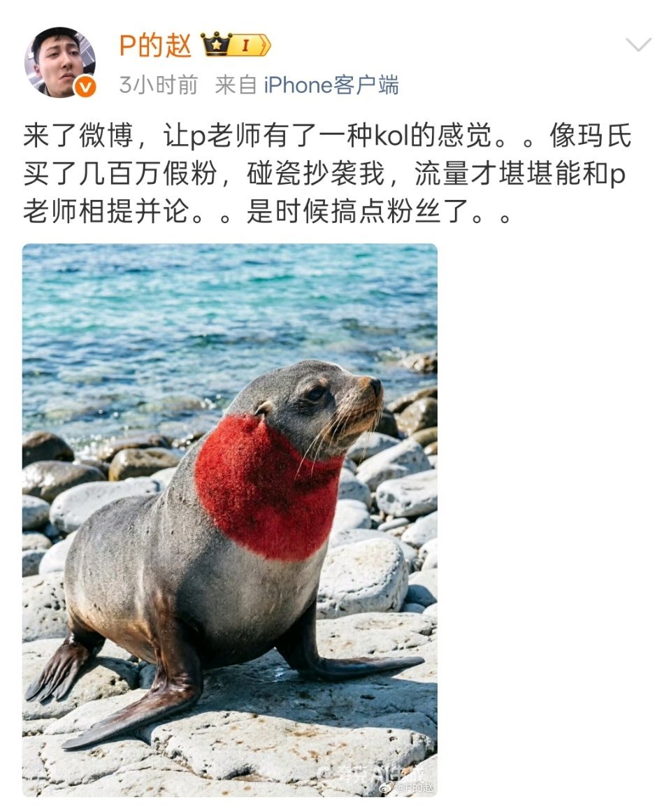 江山代有才人出，这哥们最近异军突起呀。 