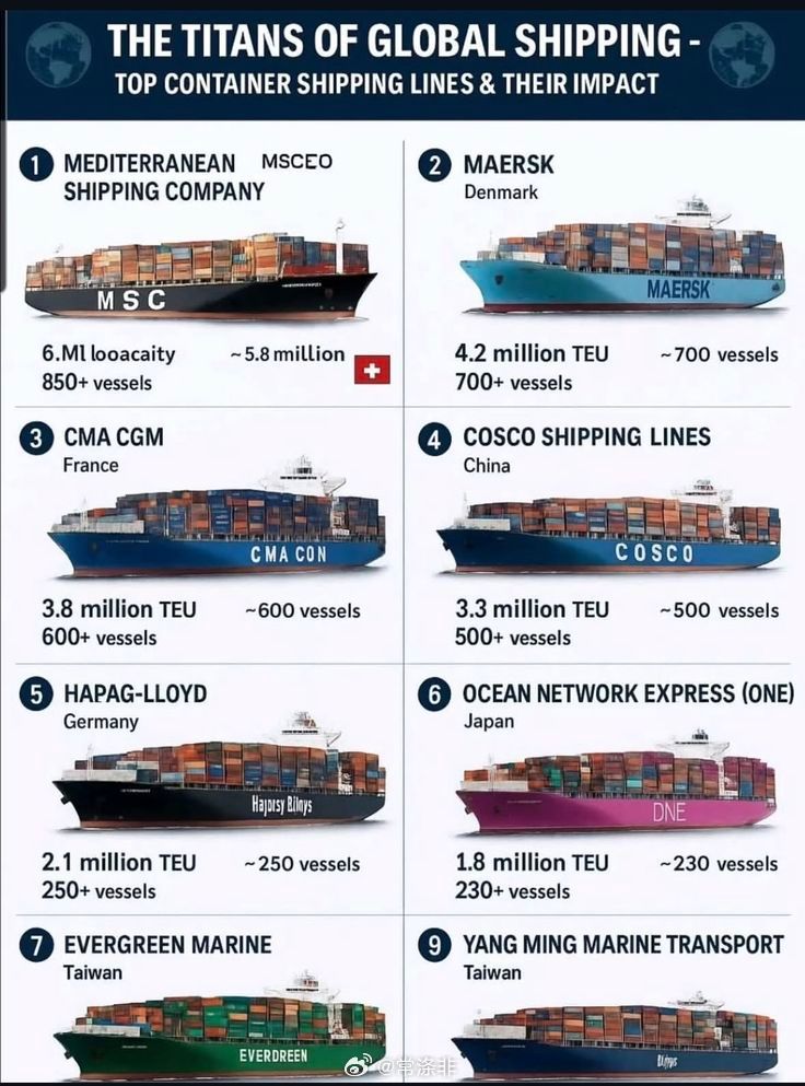 全球航运巨头（2026年1月）🇨🇭 MSC — 710万吨集装箱（市场份额2