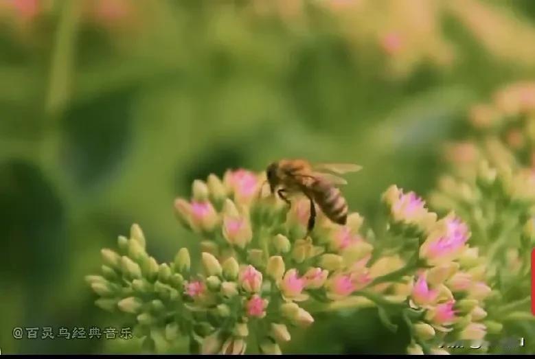 人为什么活着？带着这个复杂的问题，我试着让DeepSeek来回答——

人活着的