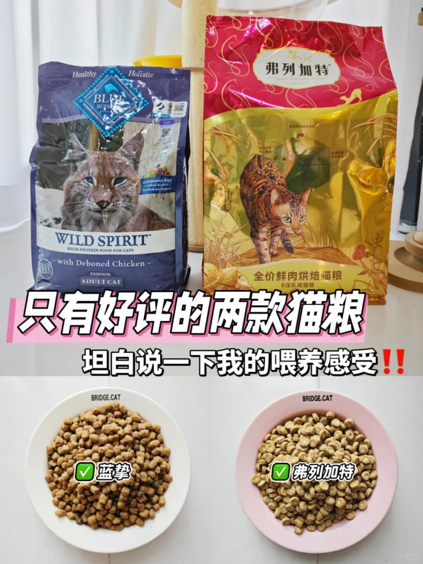 坦白局！好评如潮的两款猫粮怎么选？